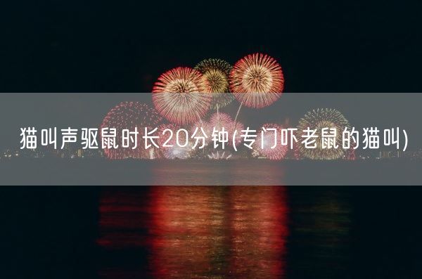 猫叫声驱鼠时长20分钟(专门吓老鼠的猫叫)(图1)