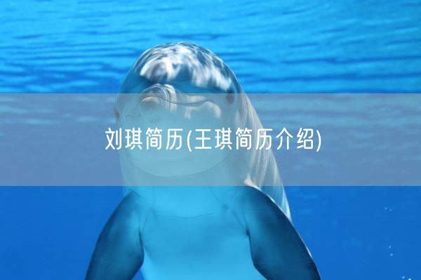 刘琪简历(王琪简历介绍)(图1)