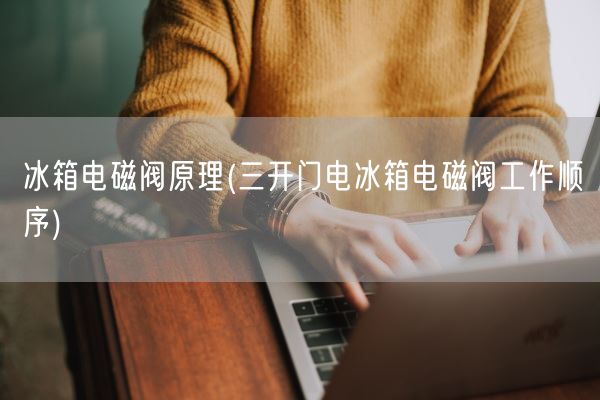 冰箱电磁阀原理(三开门电冰箱电磁阀工作顺序)(图1)