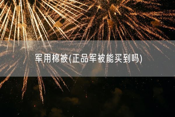 军用棉被(正品军被能买到吗)(图1)