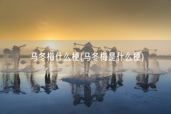 马冬梅什么梗(马冬梅是什么梗)(图1) 马冬梅什么梗(马冬梅是什么梗)(图1)