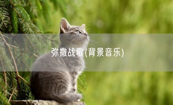 弥撒战歌(背景音乐)(图1)