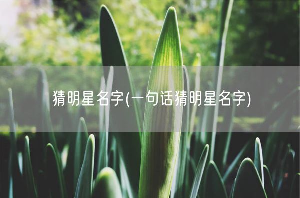 猜明星名字(一句话猜明星名字)(图1)