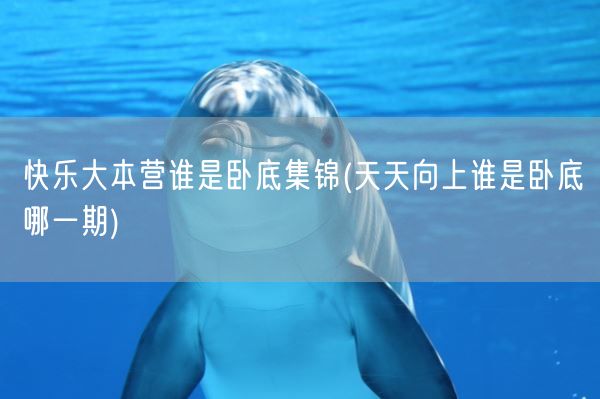 快乐大本营谁是卧底集锦(天天向上谁是卧底哪一期)(图1)