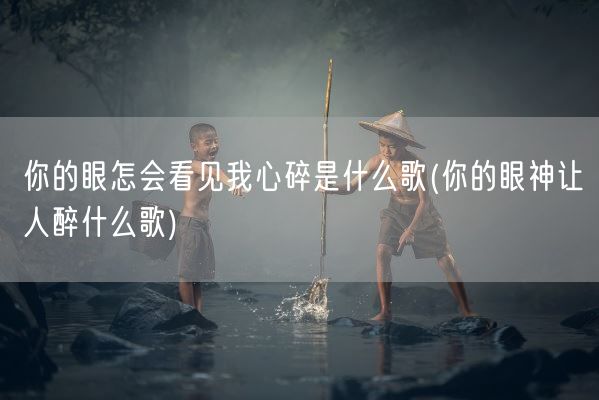 你的眼怎会看见我心碎是什么歌(你的眼神让人醉什么歌)(图1)