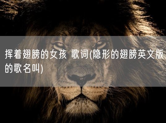 挥着翅膀的女孩 歌词(隐形的翅膀英文版的歌名叫)(图1) 挥着翅膀的女孩 歌词(隐形的翅膀英文版的歌名叫)(图1)