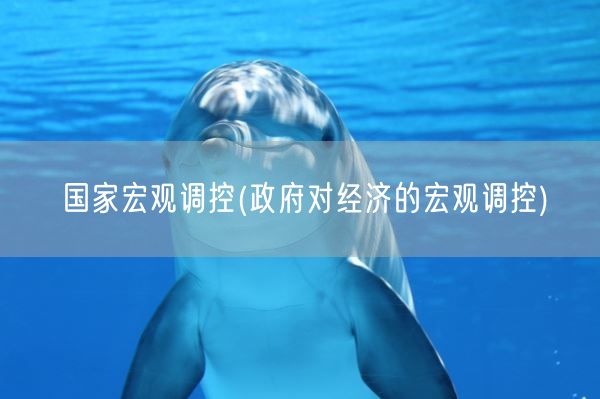 国家宏观调控(政府对经济的宏观调控)(图1) 国家宏观调控(政府对经济的宏观调控)(图1)
