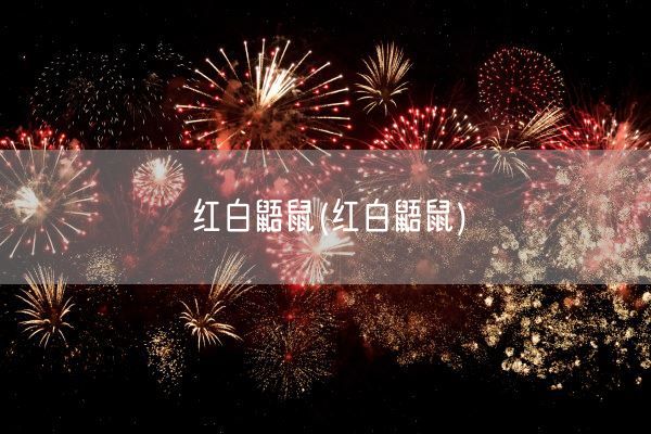 红白鼯鼠(红白鼯鼠)(图1)