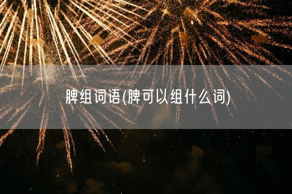 脾组词语(脾可以组什么词)(图1)