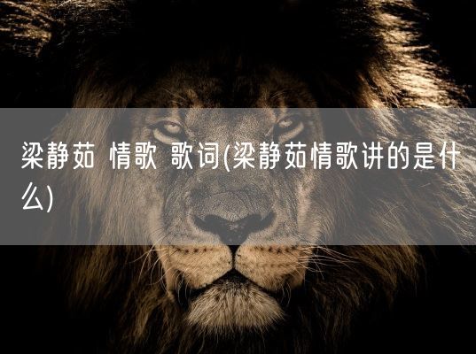 梁静茹 情歌 歌词(梁静茹情歌讲的是什么)(图1)