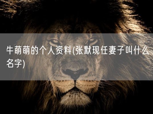 牛萌萌的个人资料(张默现任妻子叫什么名字)(图1)