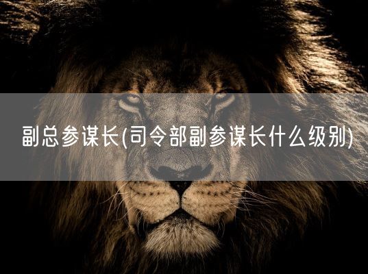 煤球哥李新义(煤二哥是哪里人)(图1)