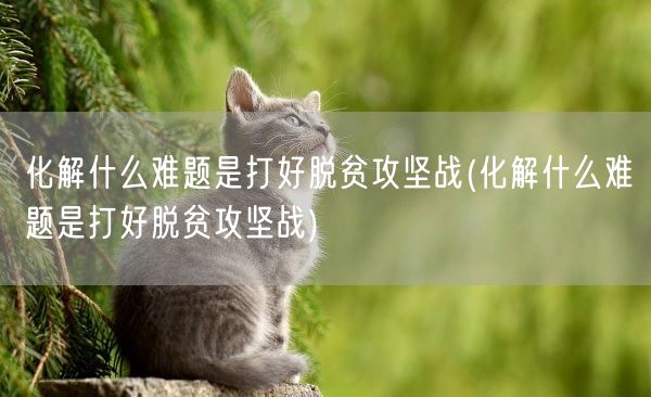 化解什么难题是打好脱贫攻坚战(化解什么难题是打好脱贫攻坚战)(图1)