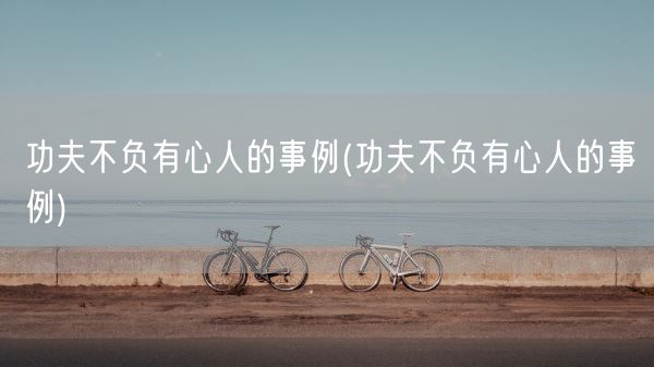 功夫不负有心人的事例(功夫不负有心人的事例)(图1)