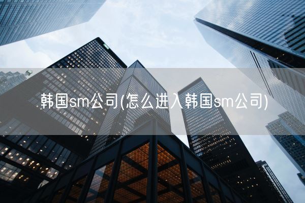 韩国*公司(怎么进入韩国*公司)(图1)