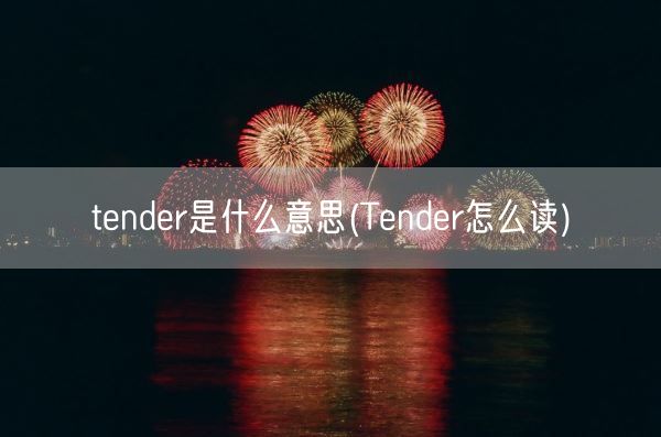 tender是什么意思(Tender怎么读)(图1)