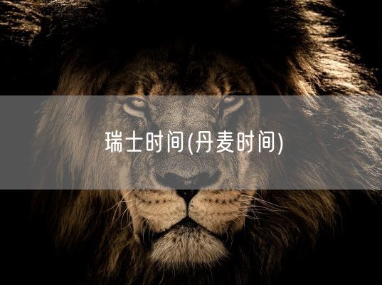瑞士时间(丹麦时间)(图1)