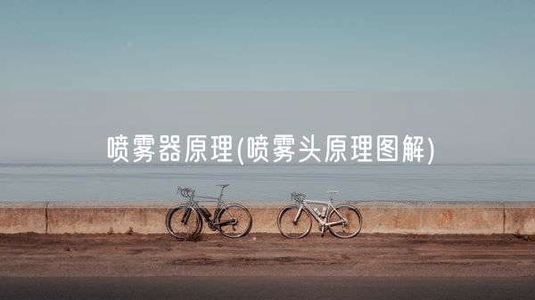 喷雾器原理(喷雾头原理图解)(图1) 喷雾器原理(喷雾头原理图解)(图1)