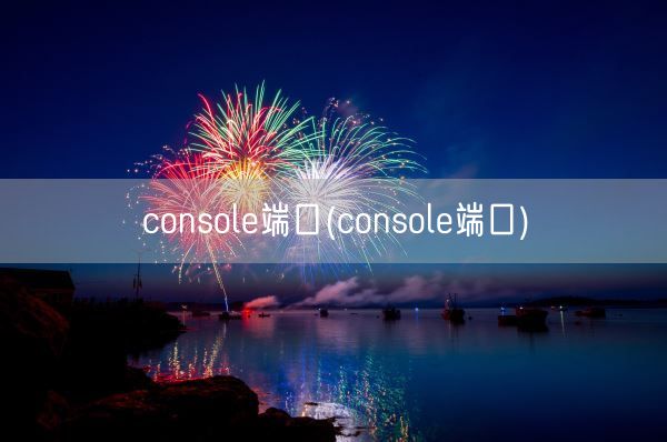 console端口(console端口)(图1)