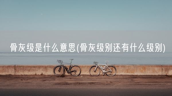 骨灰级是什么意思(骨灰级别还有什么级别)(图1)