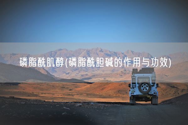 磷脂酰肌醇(磷脂酰胆碱的作用与功效)(图1)