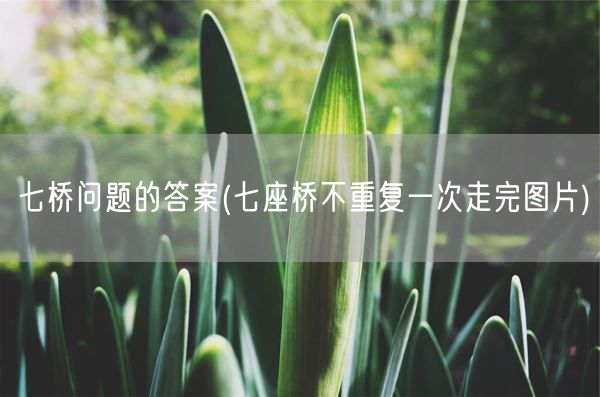 七桥问题的答案(七座桥不重复一次走完图片)(图1)