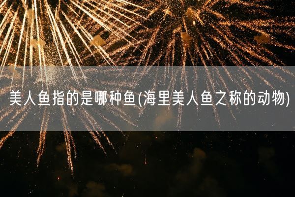 美人鱼指的是哪种鱼(海里美人鱼之称的动物)(图1)