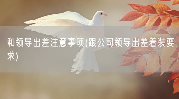 和领导出差注意事项(跟公司领导出差着装要求)(图1) 和领导出差注意事项(跟公司领导出差着装要求)(图1)