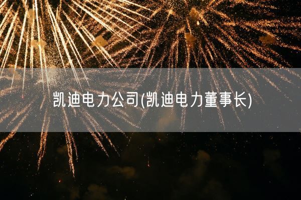 凯迪电力公司(凯迪电力董事长)(图1)