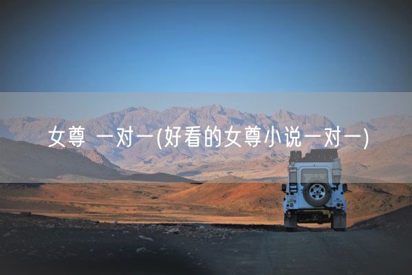 女尊 一对一(好看的女尊小说一对一)(图1)