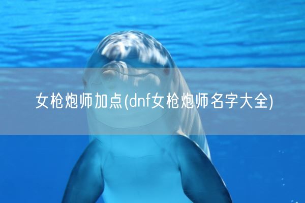 女枪炮师加点(dnf女枪炮师名字大全)(图1)