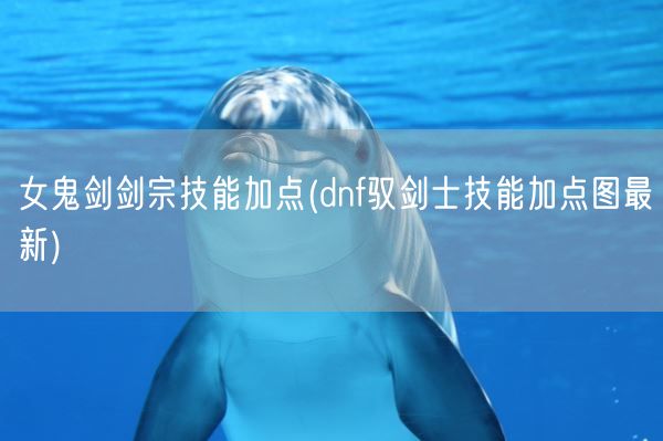 女鬼剑剑宗技能加点(dnf驭剑士技能加点图最新)(图1) 女鬼剑剑宗技能加点(dnf驭剑士技能加点图最新)(图1)