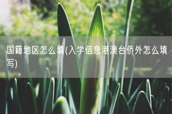 国籍地区怎么填(入学信息港澳台侨外怎么填写)(图1)