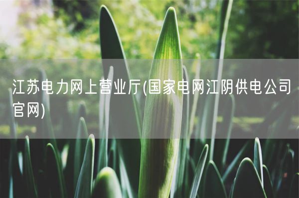 江苏电力网上营业厅(国家电网江阴供电公司官网)(图1)