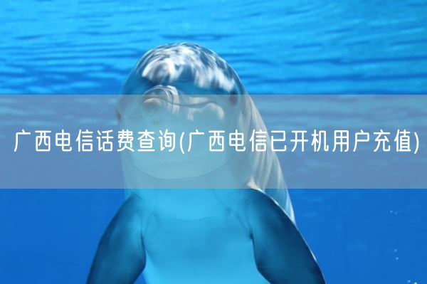 广西电信话费查询(广西电信已开机用户充值)(图1)