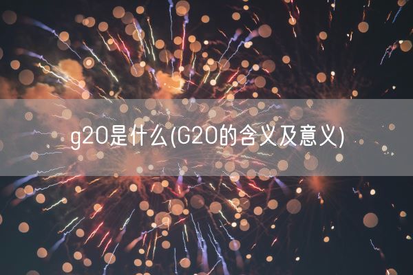 g20是什么(G20的含义及意义)(图1)