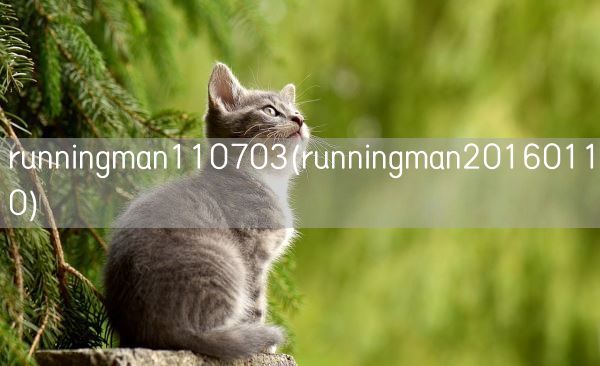 runningman110703(runningman20160110)(图1)