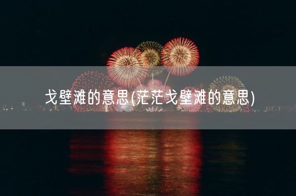 戈壁滩的意思(茫茫戈壁滩的意思)(图1)
