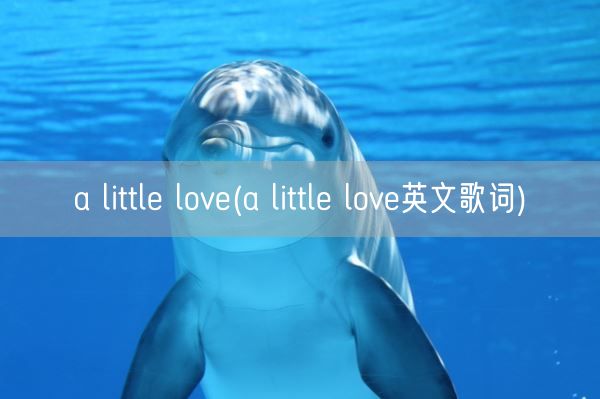 a little love(a little love英文歌词)(图1)