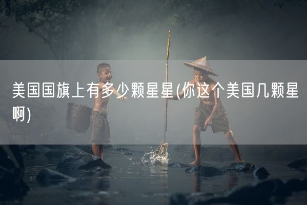 美国国旗上有多少颗星星(你这个美国几颗星啊)(图1) 美国国旗上有多少颗星星(你这个美国几颗星啊)(图1)