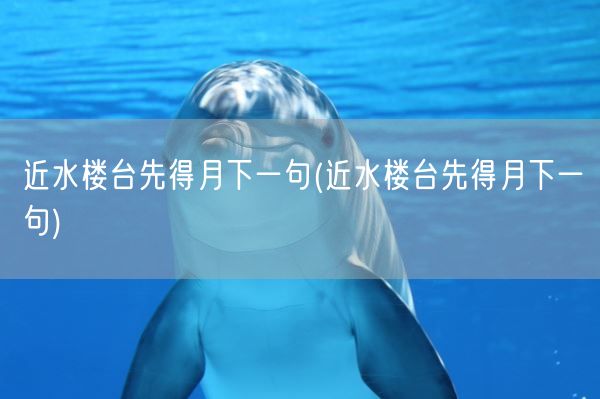 近水楼台先得月下一句(近水楼台先得月下一句)(图1)