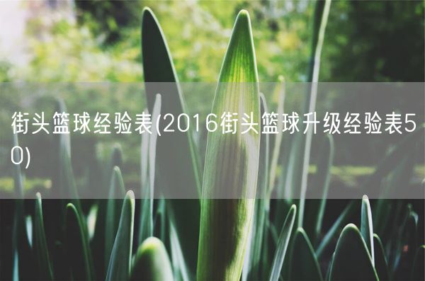 街头篮球经验表(2016街头篮球升级经验表50)(图1)