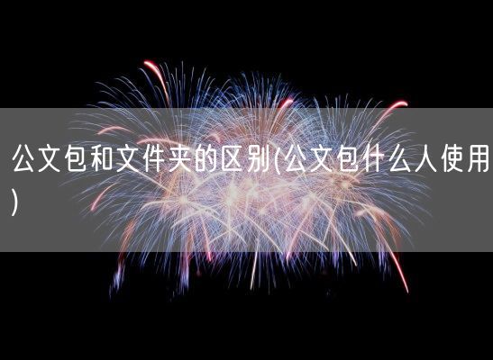 公文包和文件夹的区别(公文包什么人使用)(图1)