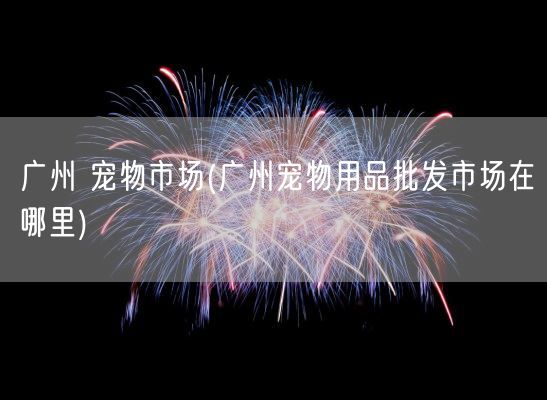 广州 宠物市场(广州宠物用品批发市场在哪里)(图1)