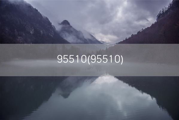 95510(95510)(图1)