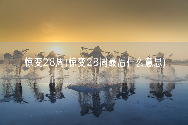 惊变28周(惊变28周最后什么意思)(图1)