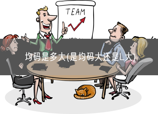 均码是多大(是均码大还是L大)(图1)