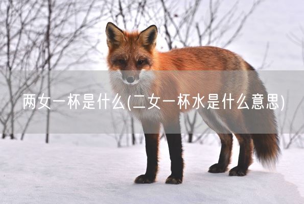 两女一杯是什么(二女一杯水是什么意思)(图1)