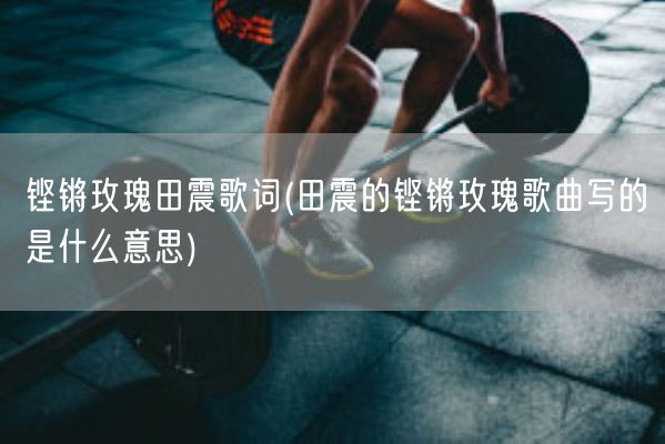 铿锵玫瑰田震歌词(田震的铿锵玫瑰歌曲写的是什么意思)(图1)