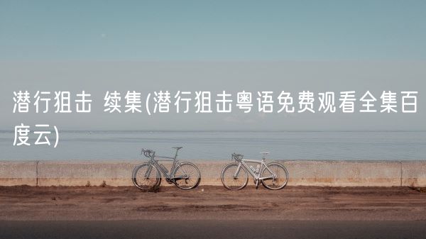 潜行狙击 续集(潜行狙击粤语免费观看全集百度云)(图1)